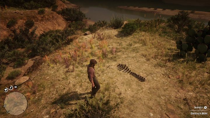 Der Knochen befindet sich oben auf dem Hügel im Gras - Dinosaurierknochen in Red Dead Redemption 2 - Dinosaurierknochen und Felszeichnungen - Red Dead Redemption 2 - Leitfaden
