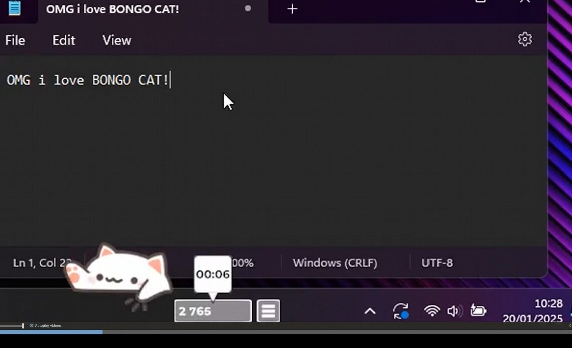 Bongo Cat, ein gemütlicher Begleiter mit einem Entwickler, der wirklich zuhört
