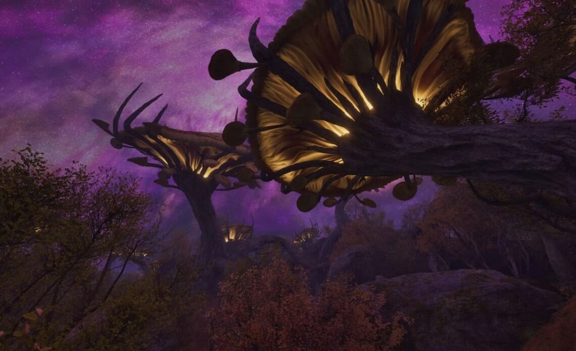 Bethesda fordert Vorschläge zur Verbesserung der Oblivion Remastered