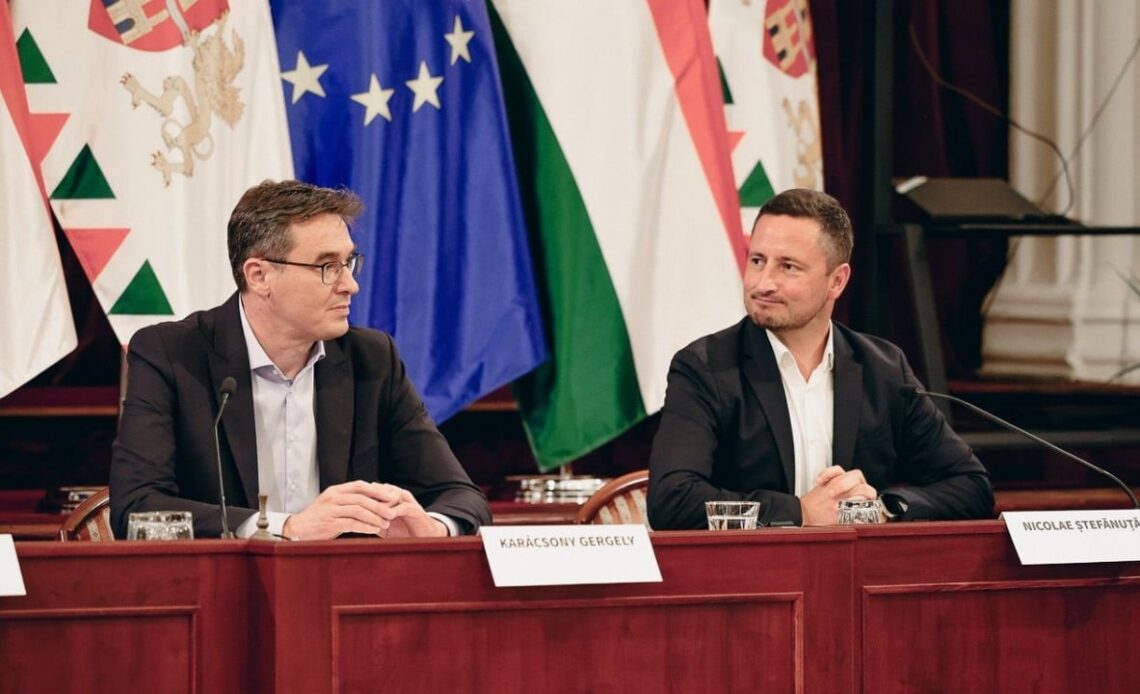 “A game, once sold, belongs to the customer.” Vice President of European Parliament speaks out about Stop Killing Games campaign, image source: facebook / Nicolae Stefanuta.