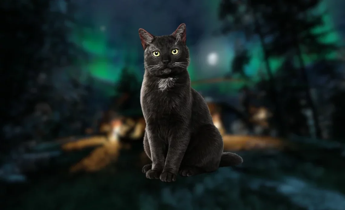 So finden Sie die vermisste Katze – NeonLightsMedia